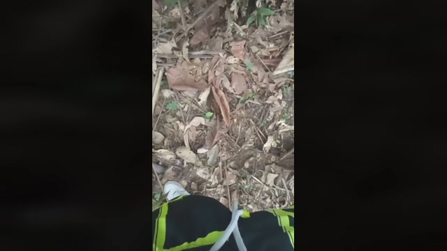 Master_piss  20-02-2022